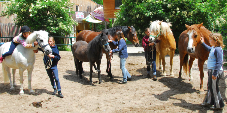 Kinder und Jugendliche mit Pferden auf dem Aktivspielplatz in Musberg