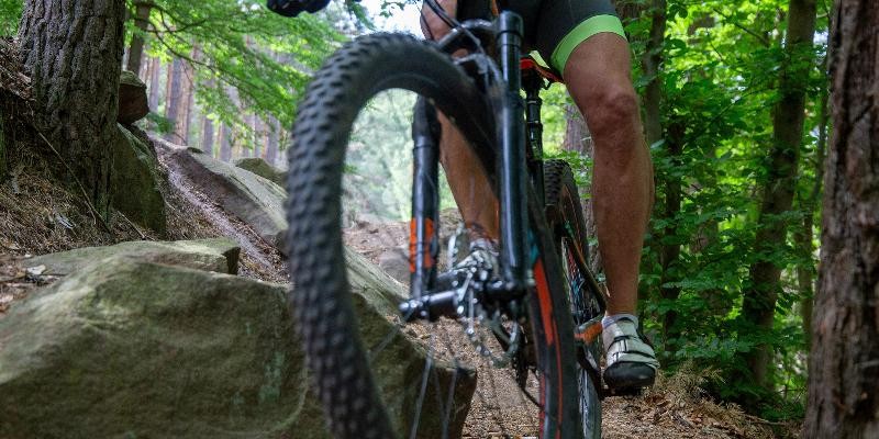 Mountainbiker im Wald