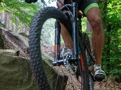 Mountainbiker im Wald