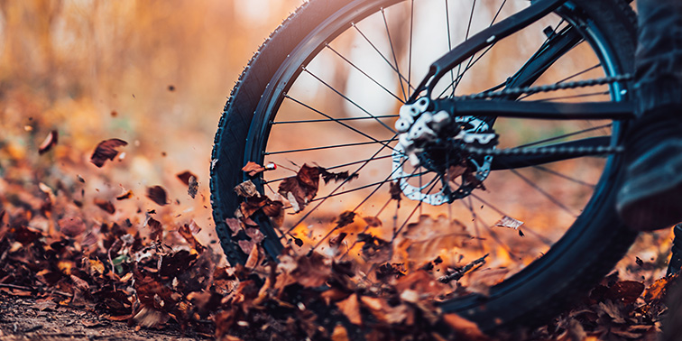 Mountainbike im Wald