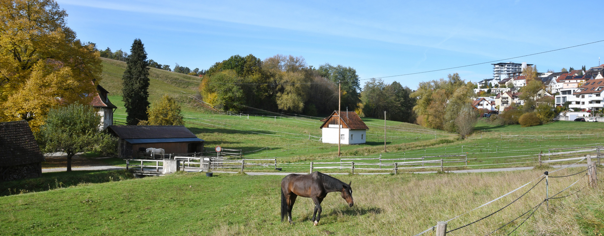 Zur Seite der Stadtverwaltung Siebenmühlental Musberg