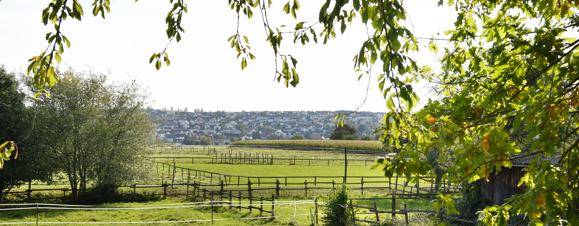Zur Seite der Stadtverwaltung Stetten