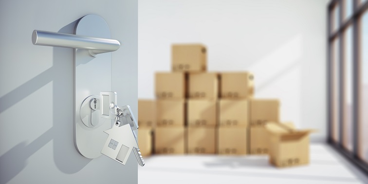 Wohnungstauschbörse Umzugskartons in heller Wohnung