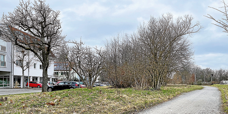 Fußweg und Grünflächen an der Bahnhofstraße Leinfelden