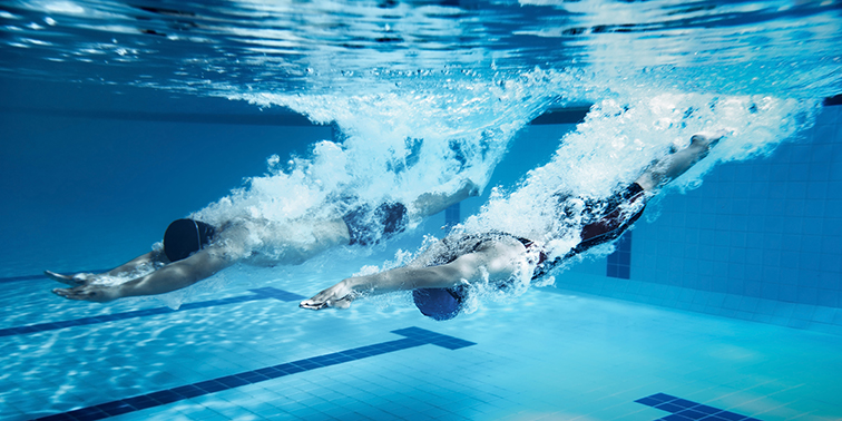 Zwei Schimmer tauchen in Schwimmbecken ein