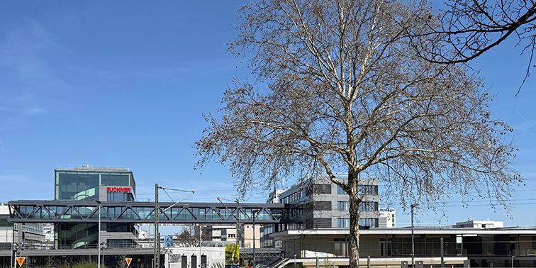 Wirtschaftsstandort Gewerbe- bzw. Industriegebäude