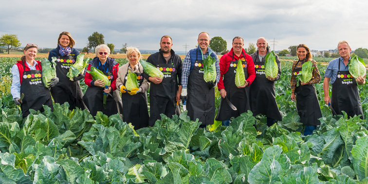 Menschen auf einem Krautfeld mit Krautköpfen in den Händen