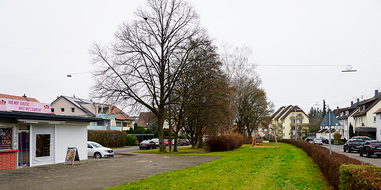 Straße und Grünfläche in Echterdingen