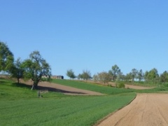 Baulandentwicklung & Wohnen