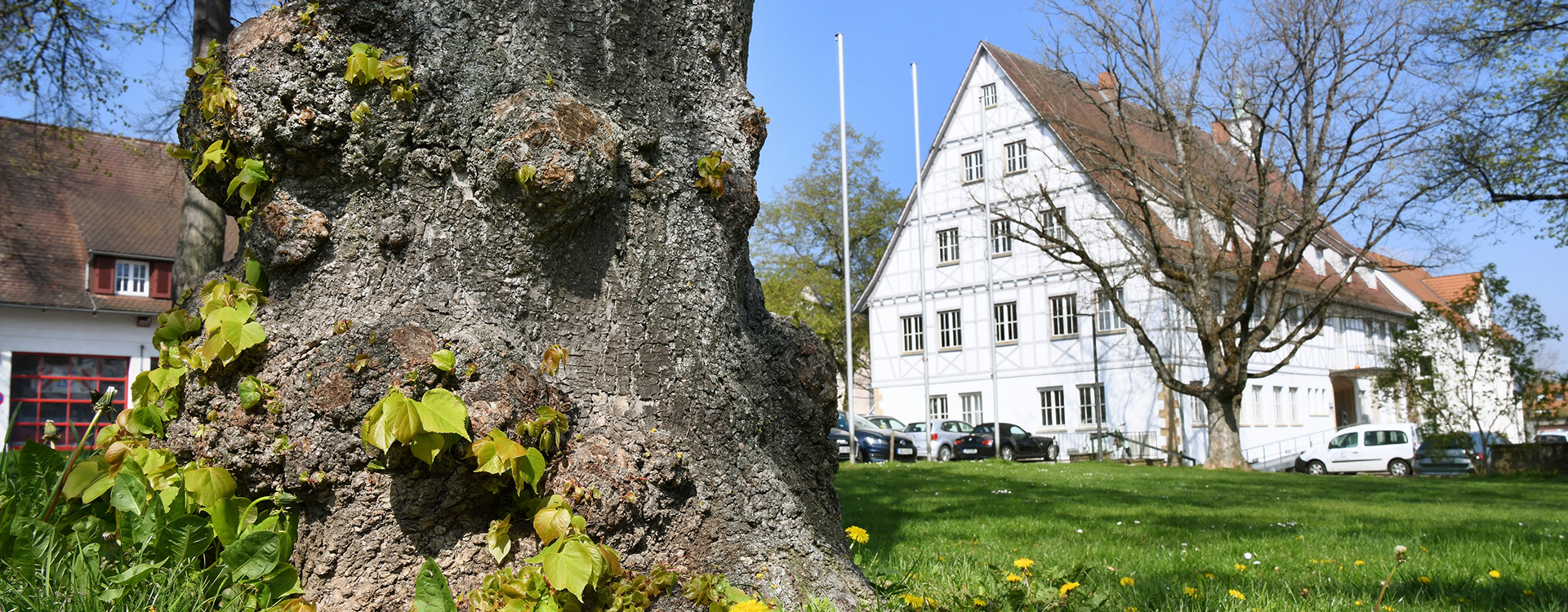 Zur Seite der Stadtverwaltung Rathaus Leinfelden am Marktplatz