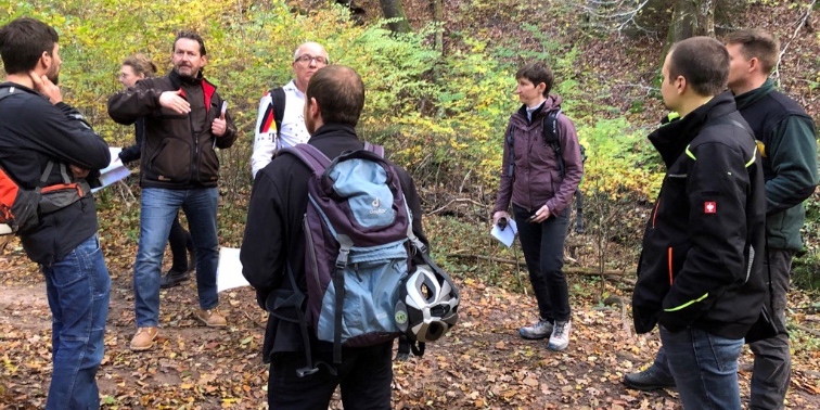 Eine Personengruppe bei einer Begehung im Wald