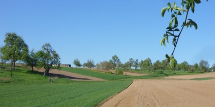 Baulandentwicklung Abbildung eines Bauland-Entwicklungsgebiets
